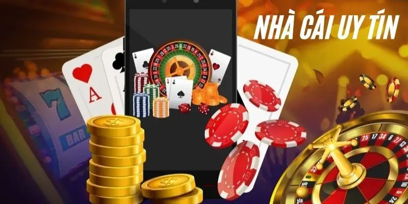 Giới thiệu Zalv với nền tảng uy tín và công nghệ hiện đại